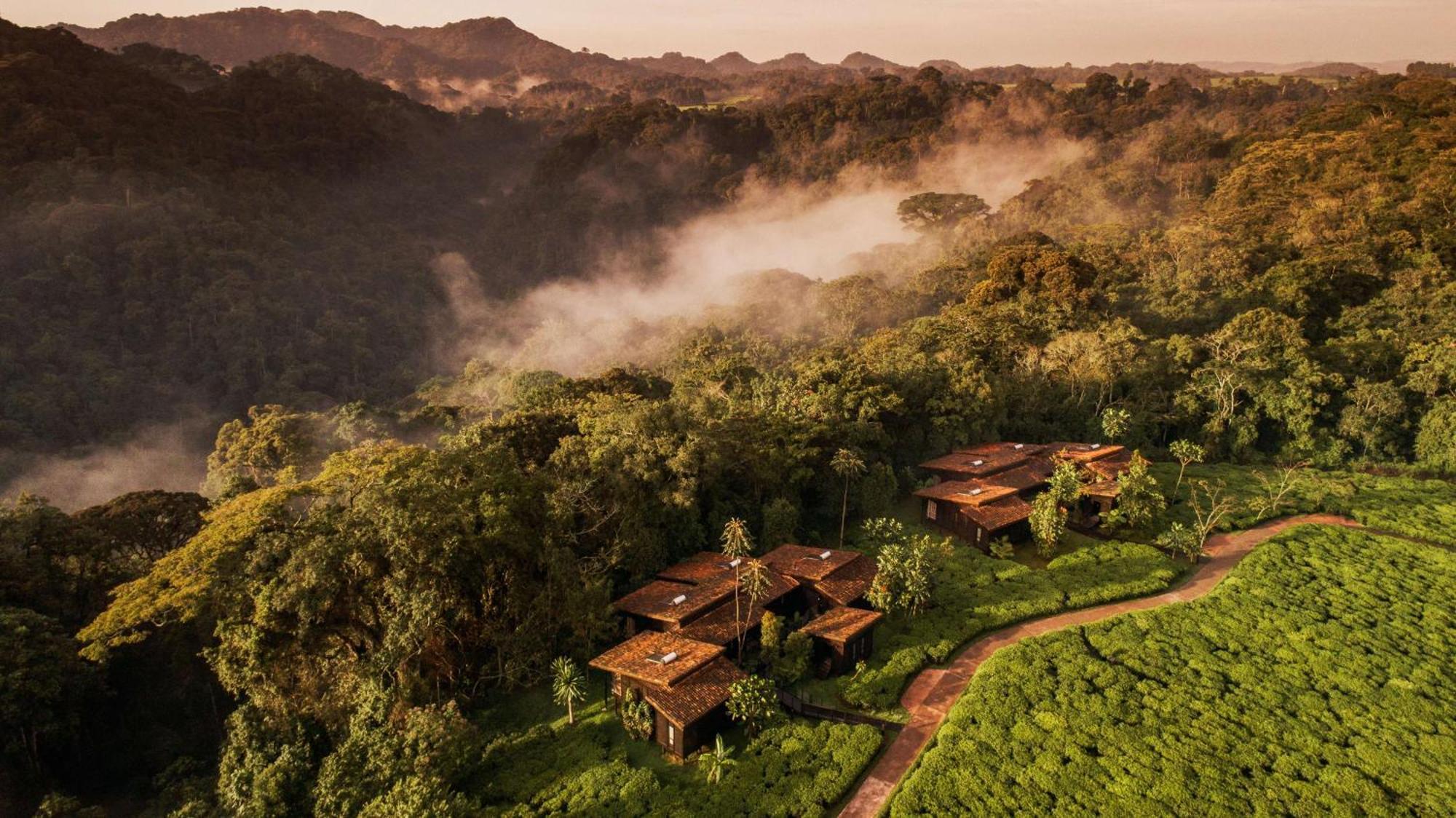 הוילה Rwumba One&Only Nyungwe House מראה חיצוני תמונה